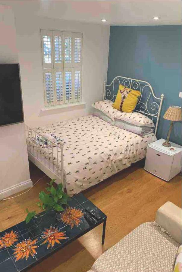 Stylish Modern Studio, Mock Georgian House, Heart Of Trendy Hackney & לונדון מראה חיצוני תמונה